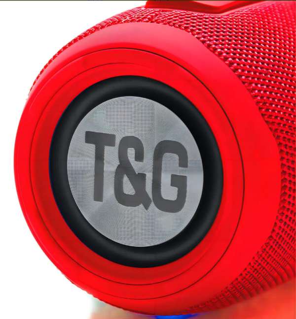 Parlante Portátil Inalámbrico T&G 663 Bluetooth 16w Luces Led Rgb, Batería Recargable